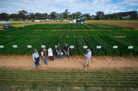 Baker seed co - Baker Seed Co | 79 followers on LinkedIn. Seeds for Generations | Baker Seed Co. is a wholly Australian Family owned seed business based in Rutherglen, North East Victoria, which has been ...